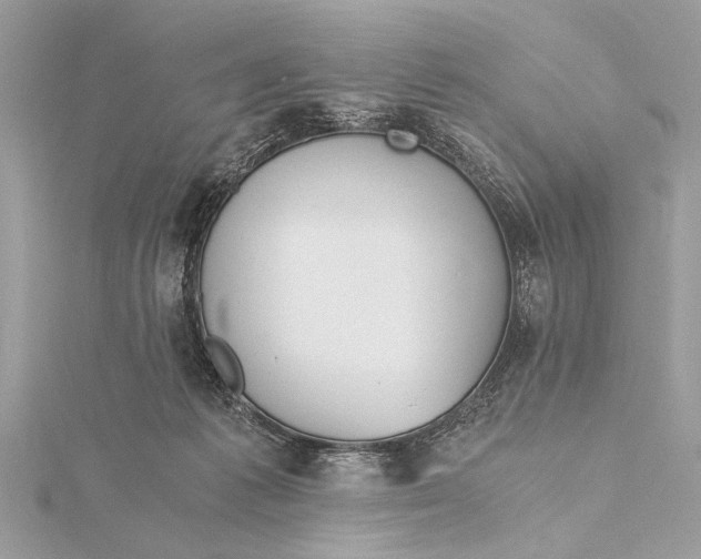X0000115640221200912011508