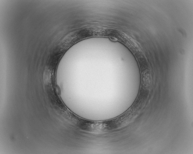 X0000115640225200912011508