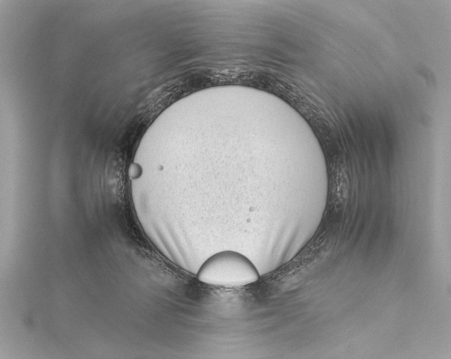X0000115640226200912011508