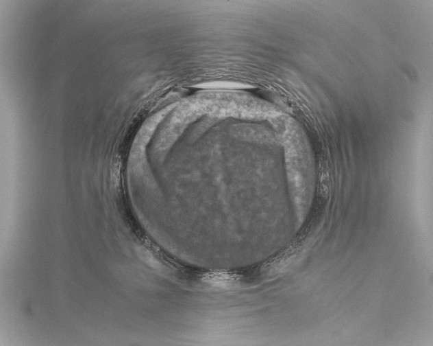 X0000115640231200912011508