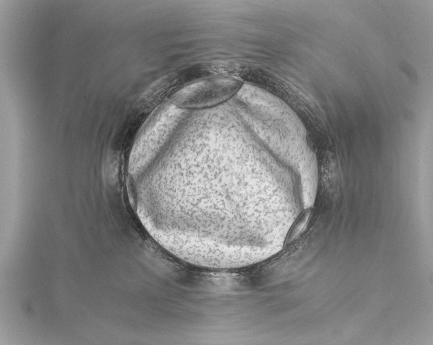 X0000115640233200912011508