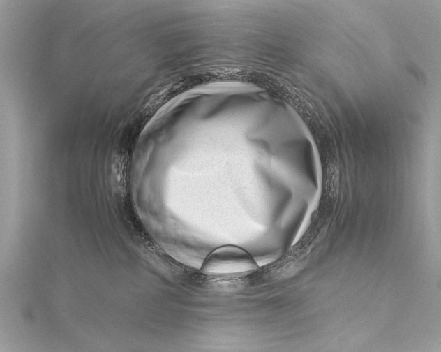 X0000115640234200912011508