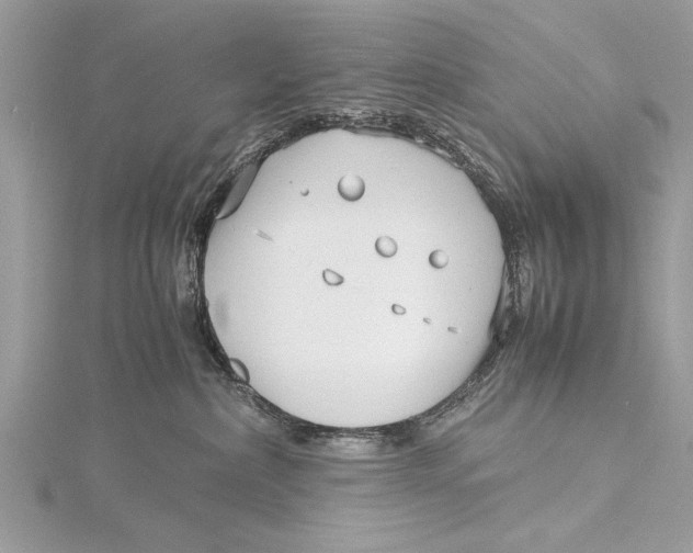 X0000115640236200912011508