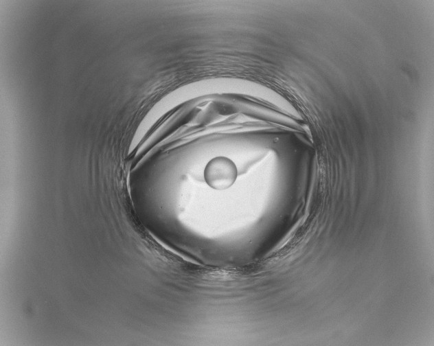 X0000115640237200912011508