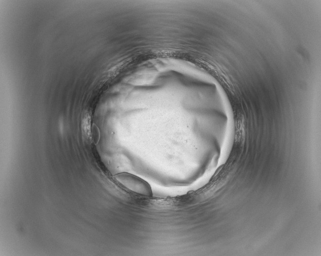X0000115640238200912011508