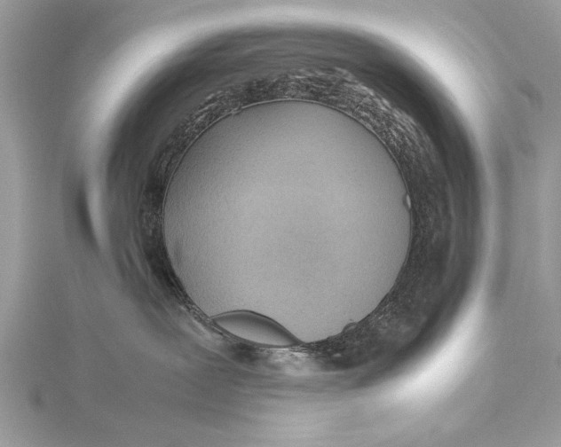 X0000115640239200912011508