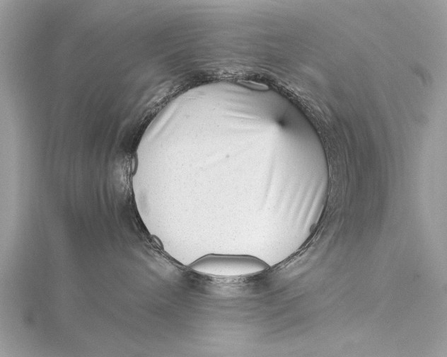 X0000115640240200912011508