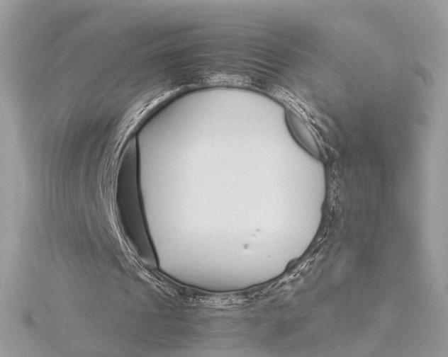 X0000115640241200912011507