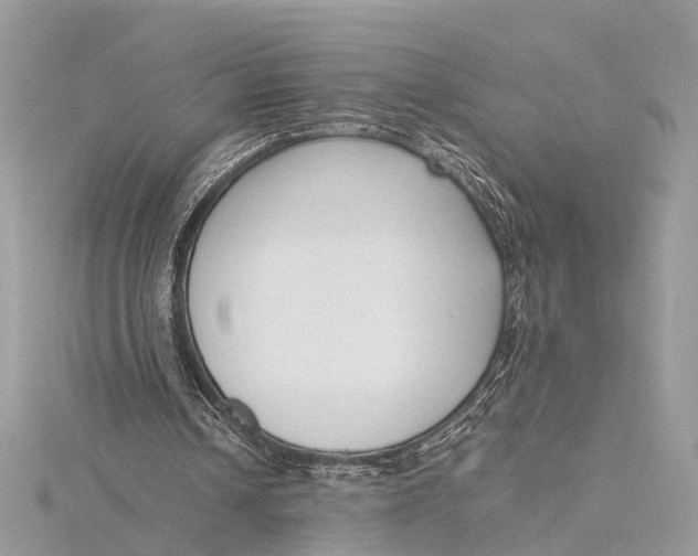 X0000115640242200912011507