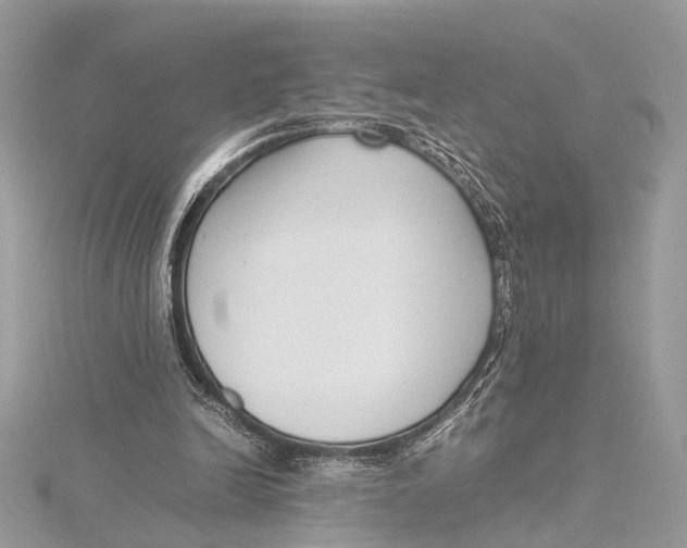 X0000115640246200912011507
