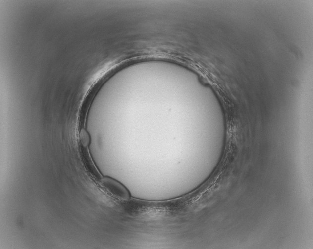 X0000115640248200912011507