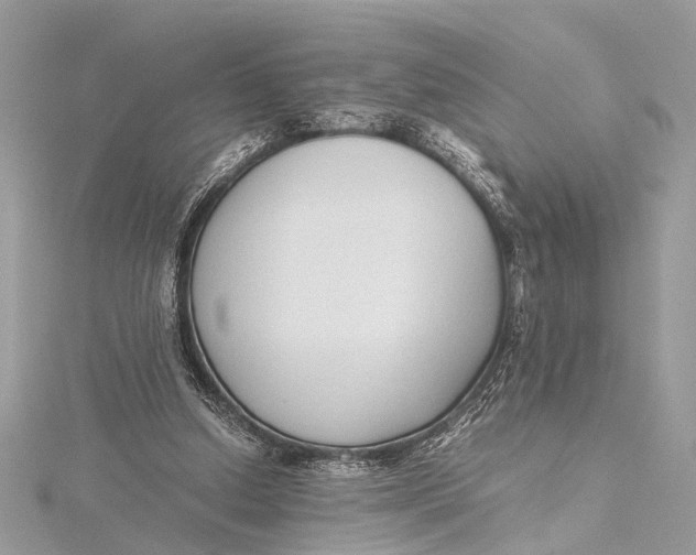X0000115640250200912011507