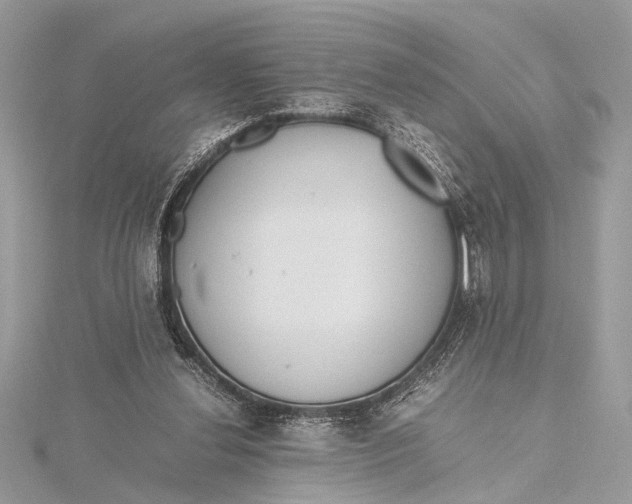 X0000115640252200912011507