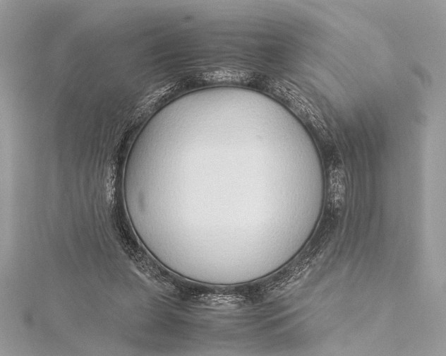 X0000115640255200912011507