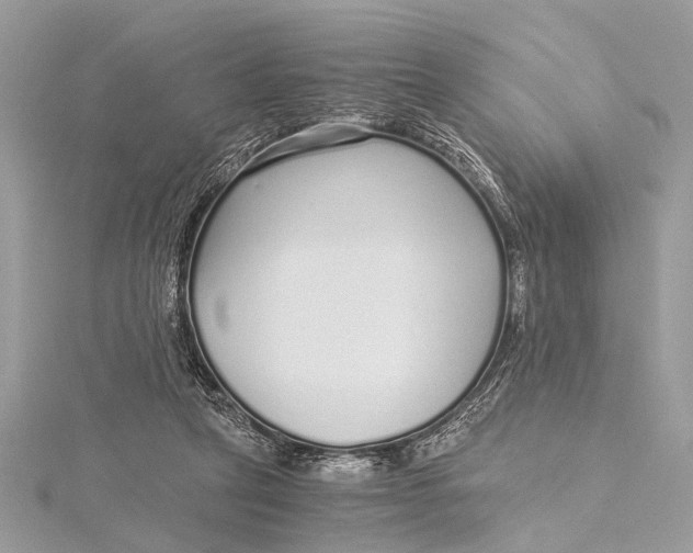 X0000115640257200912011507
