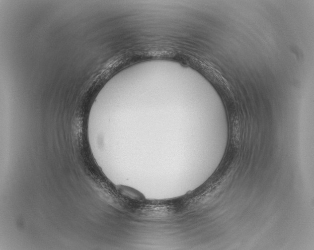 X0000115640260200912011507