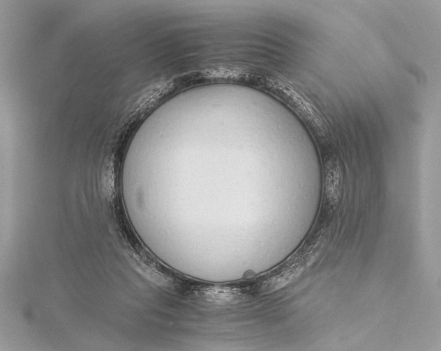 X0000115640261200912011507