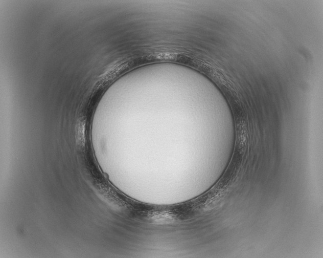 X0000115640262200912011507
