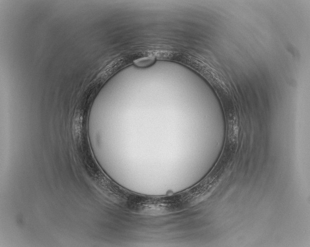 X0000115640263200912011507
