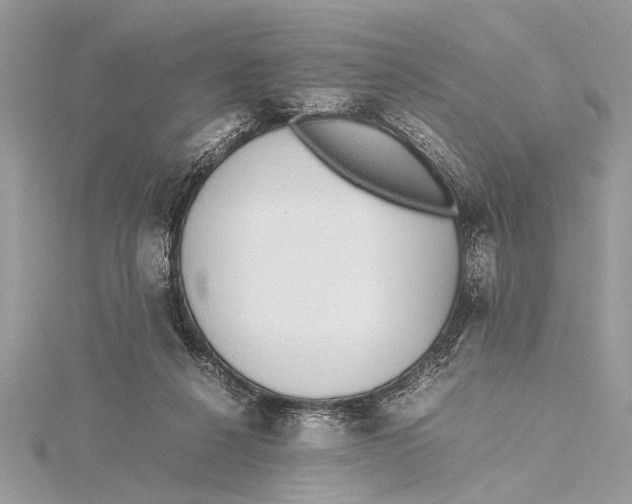 X0000115640264200912011507