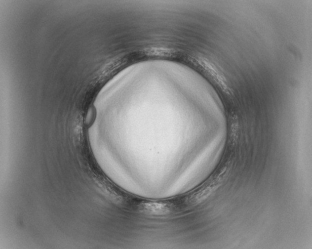 X0000115640265200912011507