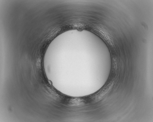 X0000115640269200912011507