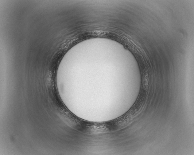 X0000115640270200912011507