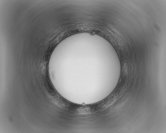 X0000115640271200912011507