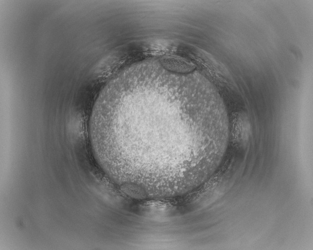 X0000115640272200912011507