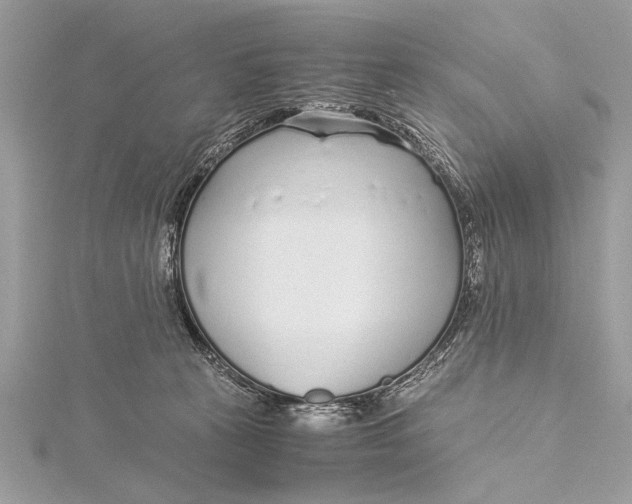 X0000115640273200912011507