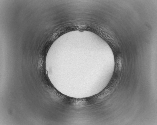 X0000115640274200912011507