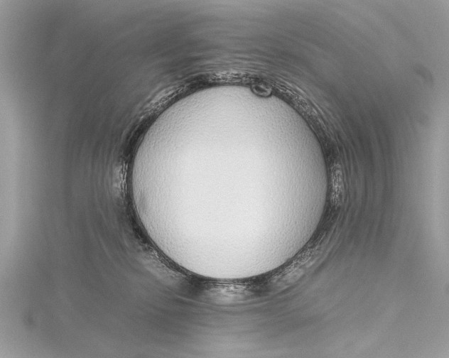 X0000115640278200912011507