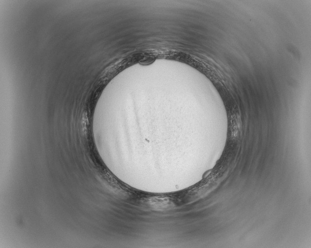 X0000115640279200912011507