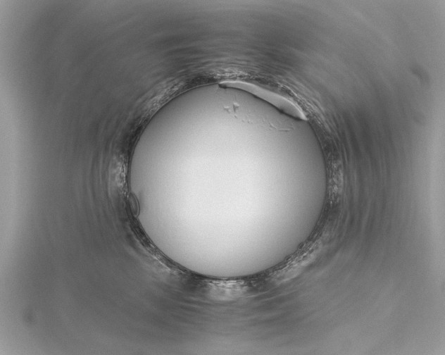 X0000115640281200912011507