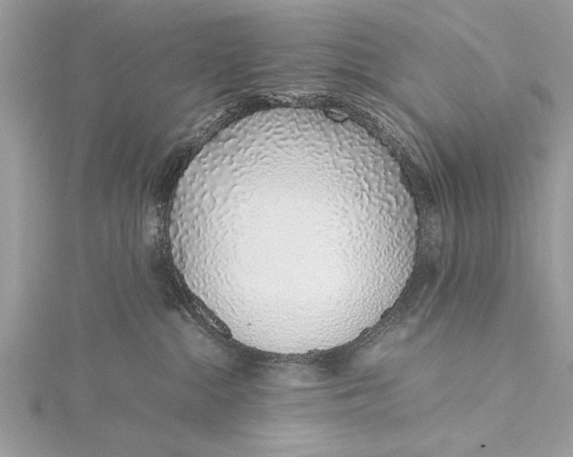 X0000115640284200912011507