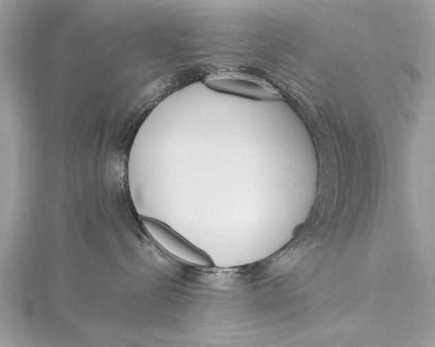 X0000115640288200912011507