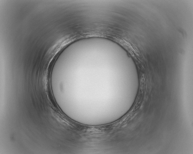 X0000115640290200912011507