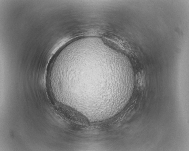X0000115640292200912011507