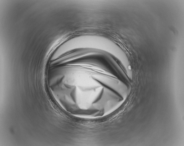 X0000115640293200912011507
