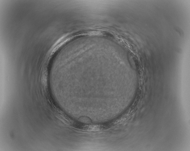 X0000115640295200912011507