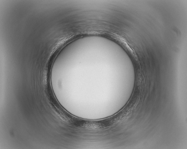 X0000115640299200912011507
