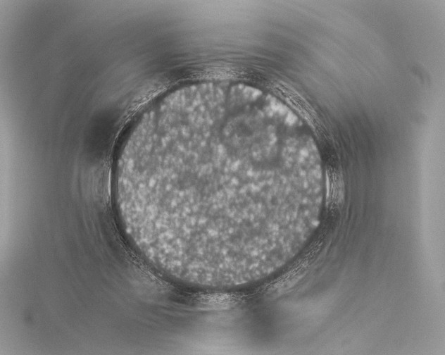 X0000115640301200912011507