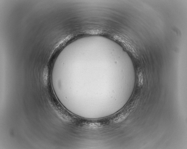 X0000115640304200912011507