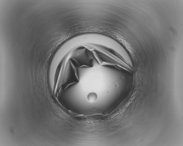 X0000115640305200912011507
