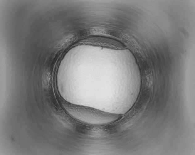 X0000115640308200912011507
