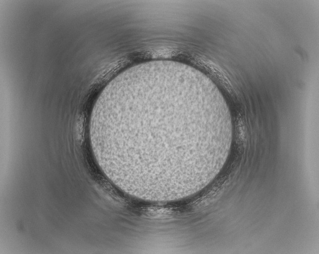 X0000115640311200912011507