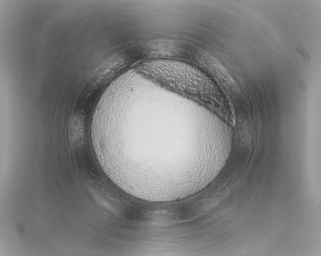 X0000115640312200912011507