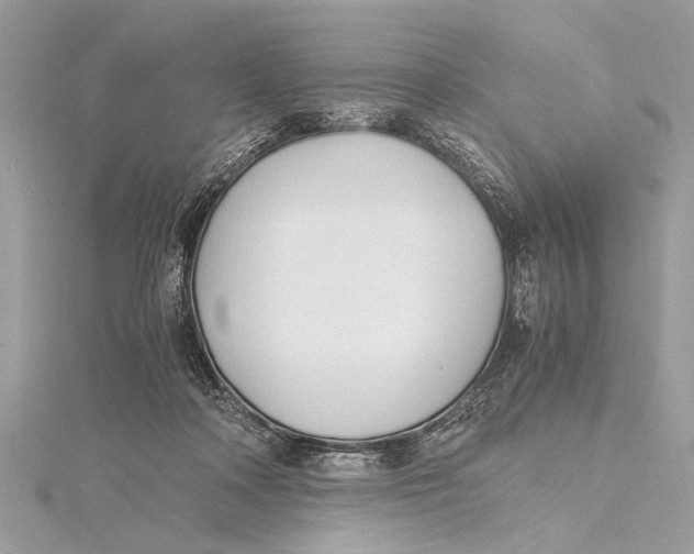 X0000115640314200912011507