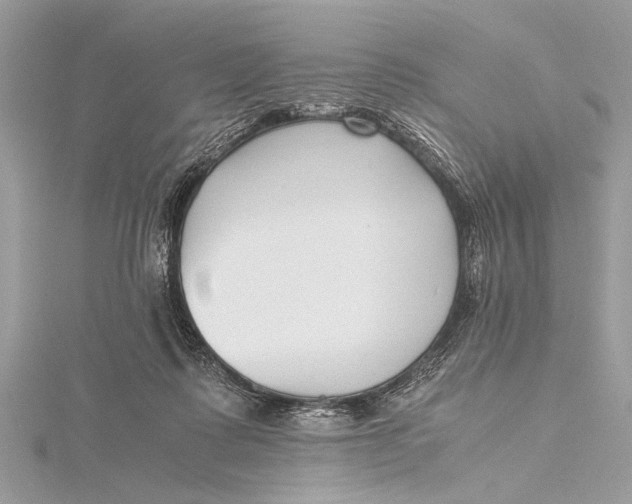 X0000115640315200912011507