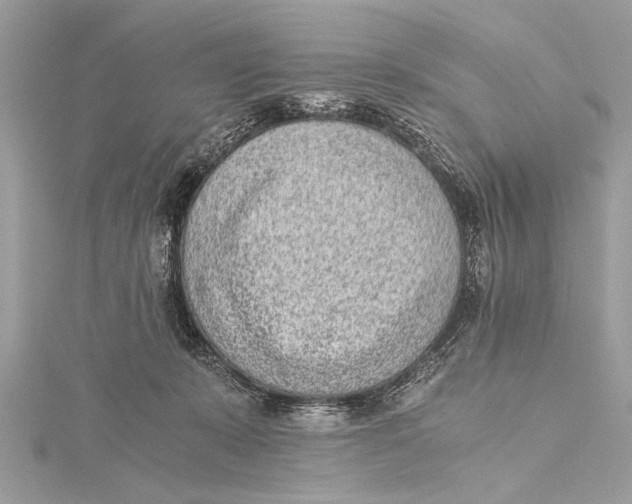 X0000115640319200912011506